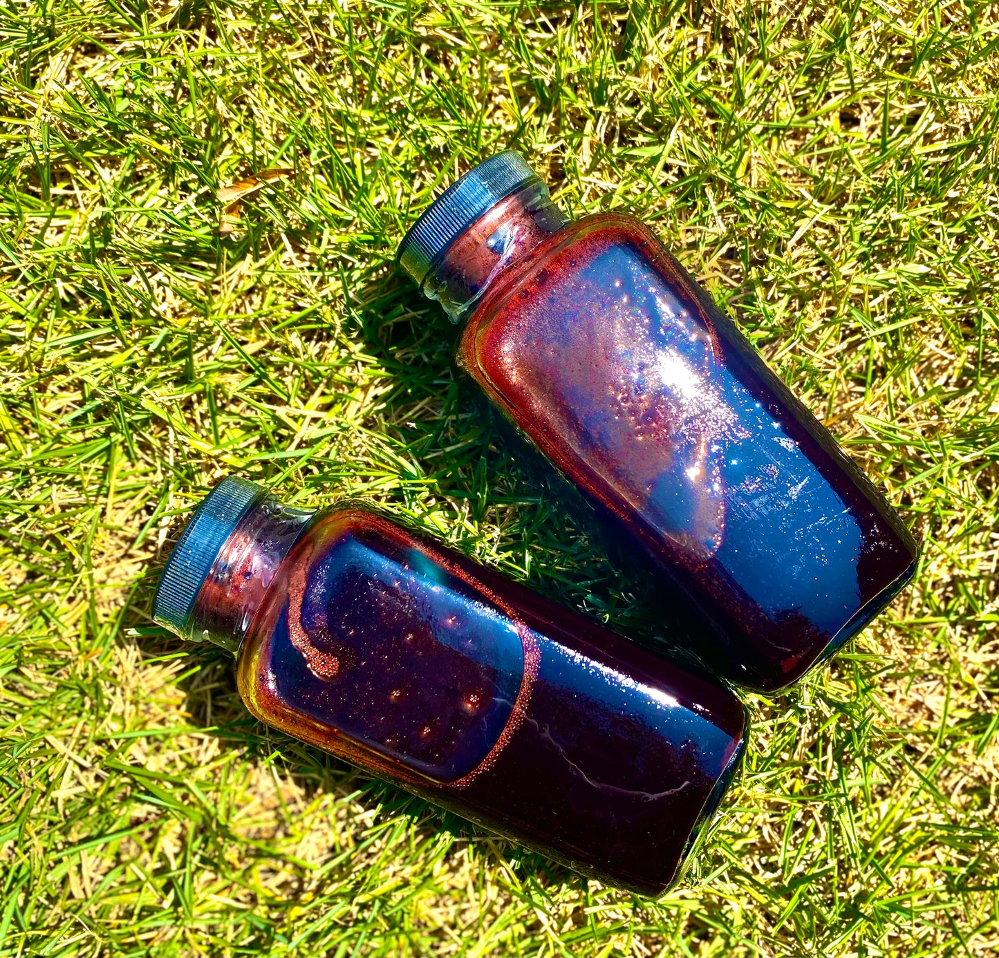 Organic Elderberry & Spice Herbal Syrup Kit